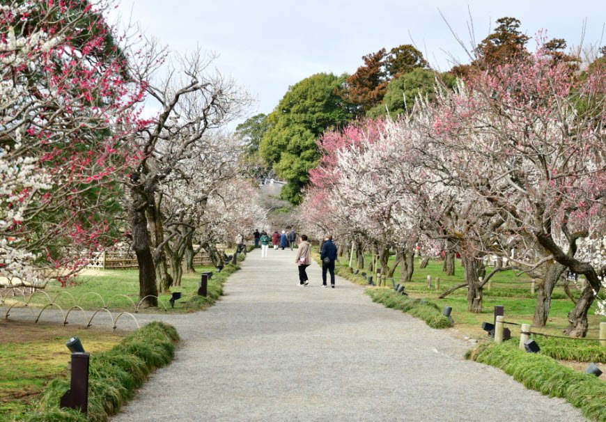Mito Municipal Botanical Park, Japan